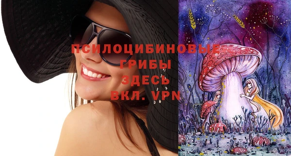 прущие крисы Алзамай